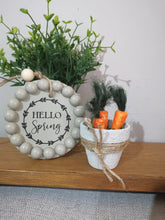 Load image into Gallery viewer, Mini Pot of Carrots