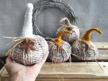 Load image into Gallery viewer, Knitted Pumpkins with long stalks
