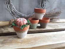 Load image into Gallery viewer, Mini Potted Pumpkin

