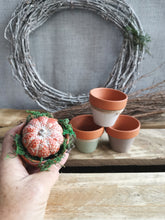Load image into Gallery viewer, Mini Potted Pumpkin
