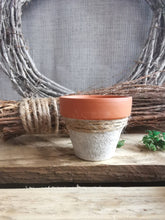 Load image into Gallery viewer, Mini Potted Pumpkin
