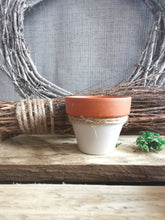 Load image into Gallery viewer, Mini Potted Pumpkin
