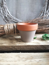 Load image into Gallery viewer, Mini Potted Pumpkin
