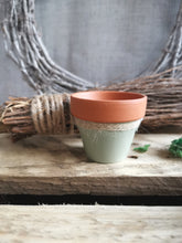 Load image into Gallery viewer, Mini Potted Pumpkin
