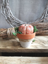 Load image into Gallery viewer, Mini Potted Pumpkin
