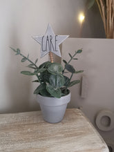 Load image into Gallery viewer, Potted Faux plant with wooden star pick
