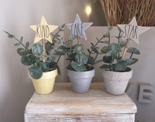 Load image into Gallery viewer, Potted Faux plant with wooden star pick

