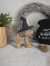Load image into Gallery viewer, Halloween decor, Witches  Dog
