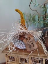 Load image into Gallery viewer, Knitted pumpkins with long stalks
