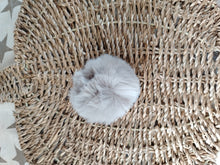Load image into Gallery viewer, Pom pom &amp; wooden bat
