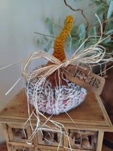 Load image into Gallery viewer, Knitted pumpkins with long stalks
