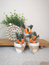 Load image into Gallery viewer, Mini Pot of Carrots
