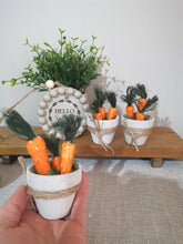 Load image into Gallery viewer, Mini Pot of Carrots
